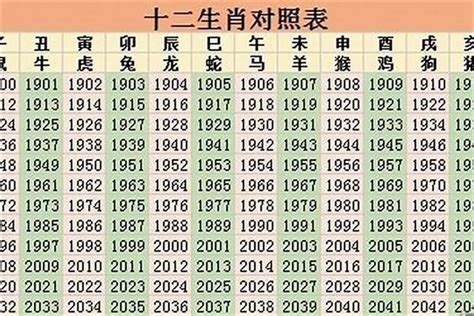 2023年是什么命|2023年出生的人是什么命 五行属什么